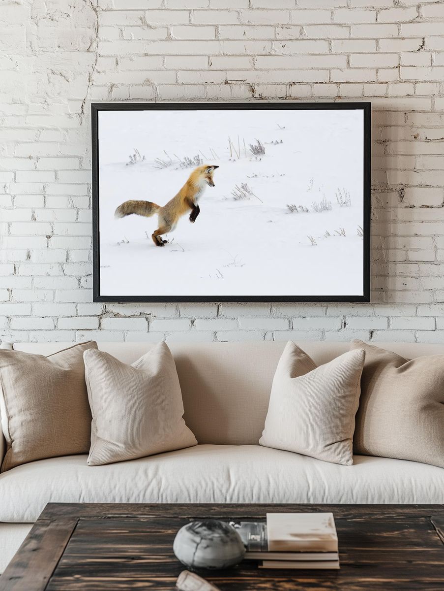 Hunting fox, Hayden Valley. Original. room preview