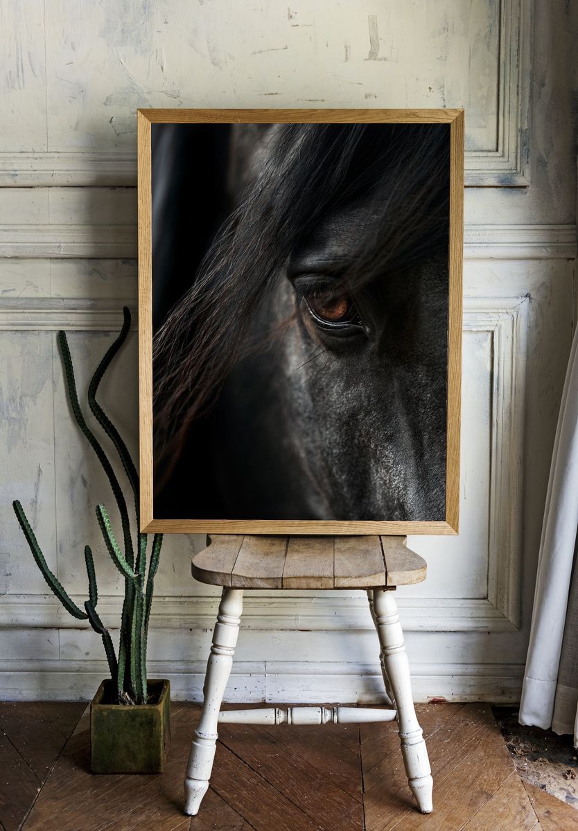 Black Horse Portrait Print. room preview