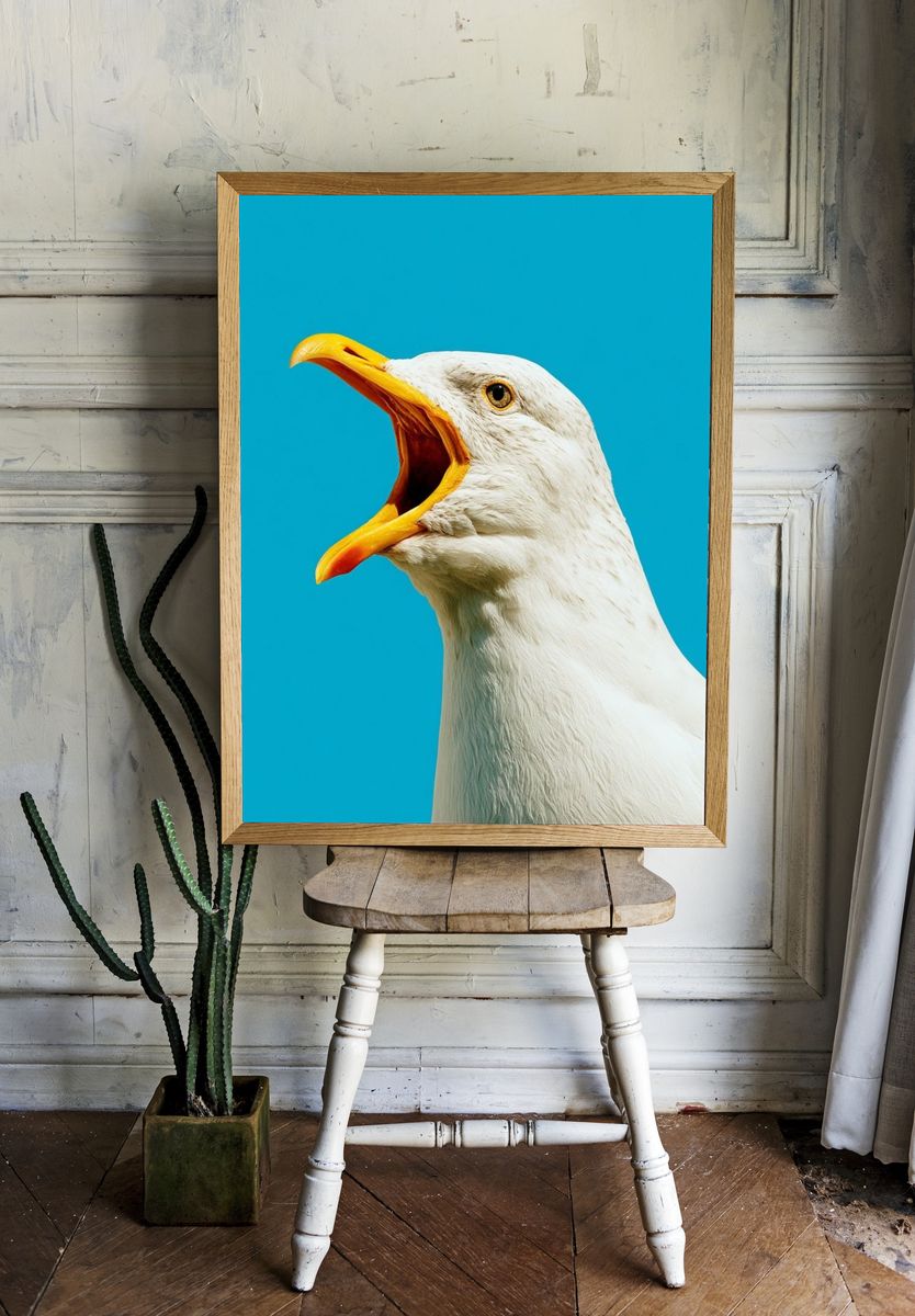 Seagull Portrait Photography Poster. room preview