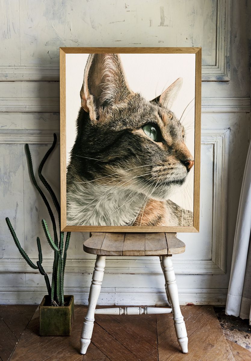 Tabby Cat Portrait Print. room preview