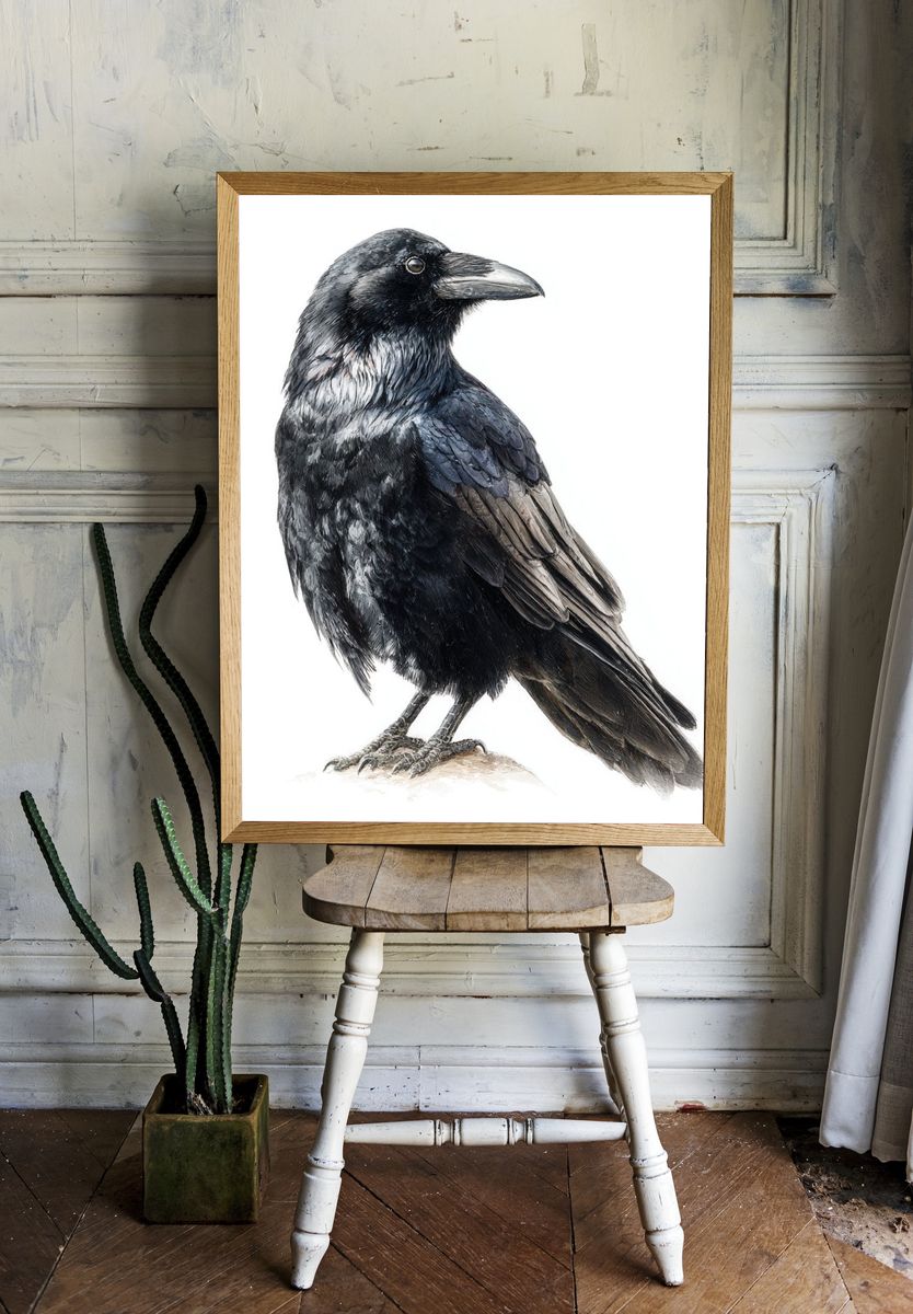 Raven Portrait Illustration Poster. room preview