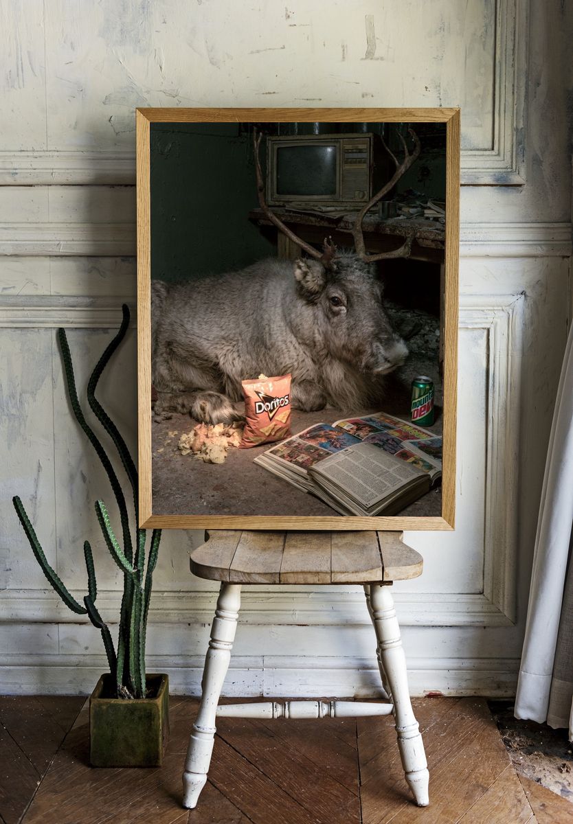 Reindeer in Abandoned Room Print. room preview