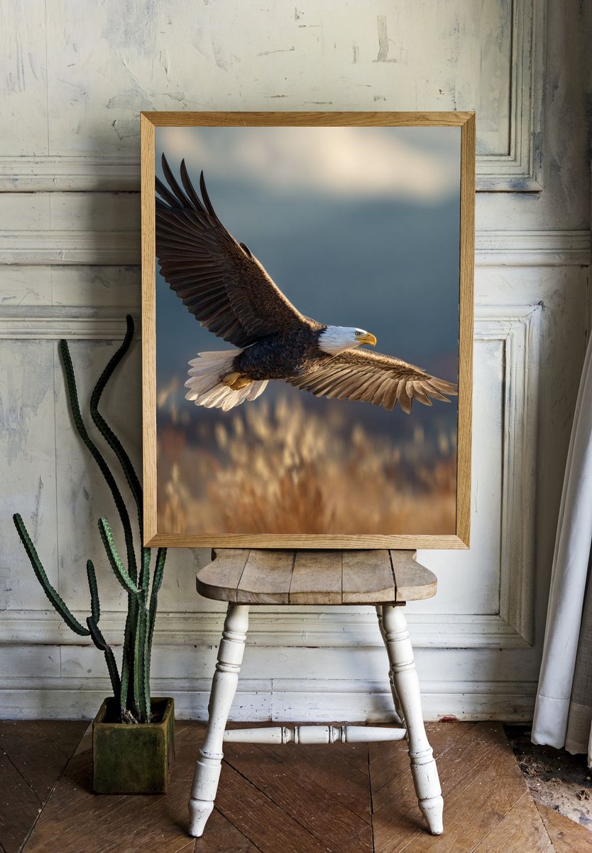Bald Eagle in Flight Photography Poster. room preview