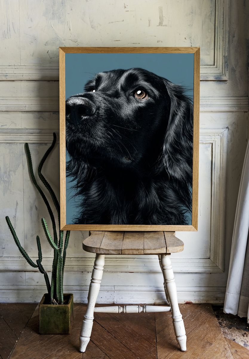 Black Dog Portrait Print. room preview