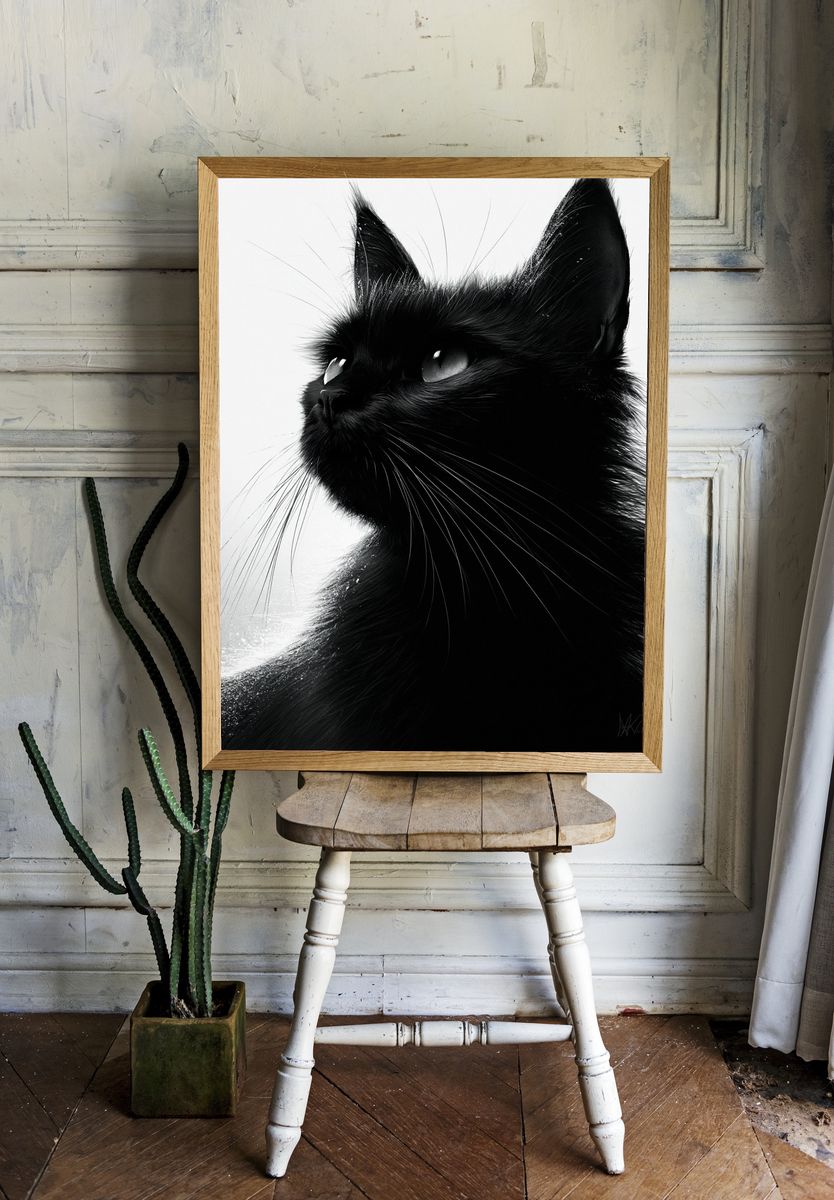 Black Cat Portrait Photography Poster. room preview