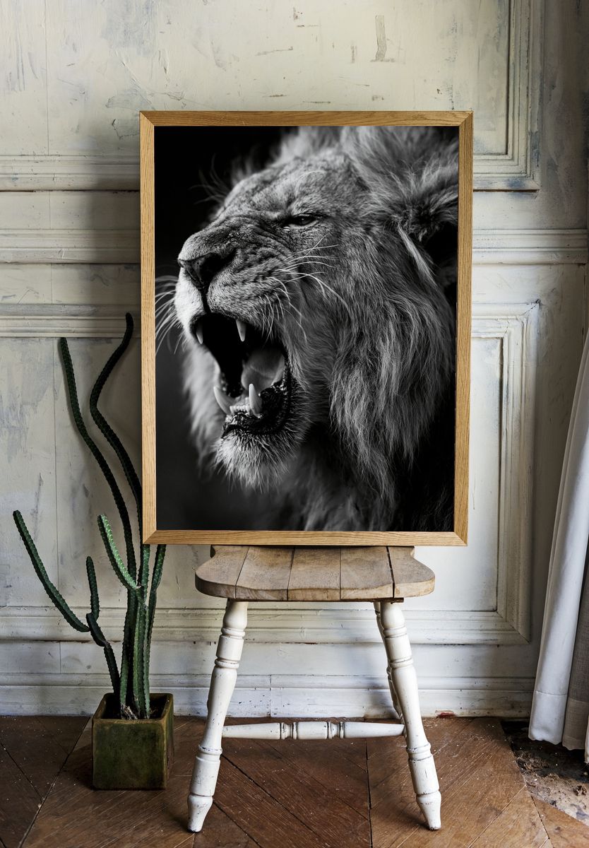 Roaring Lion Black-White Poster. room preview