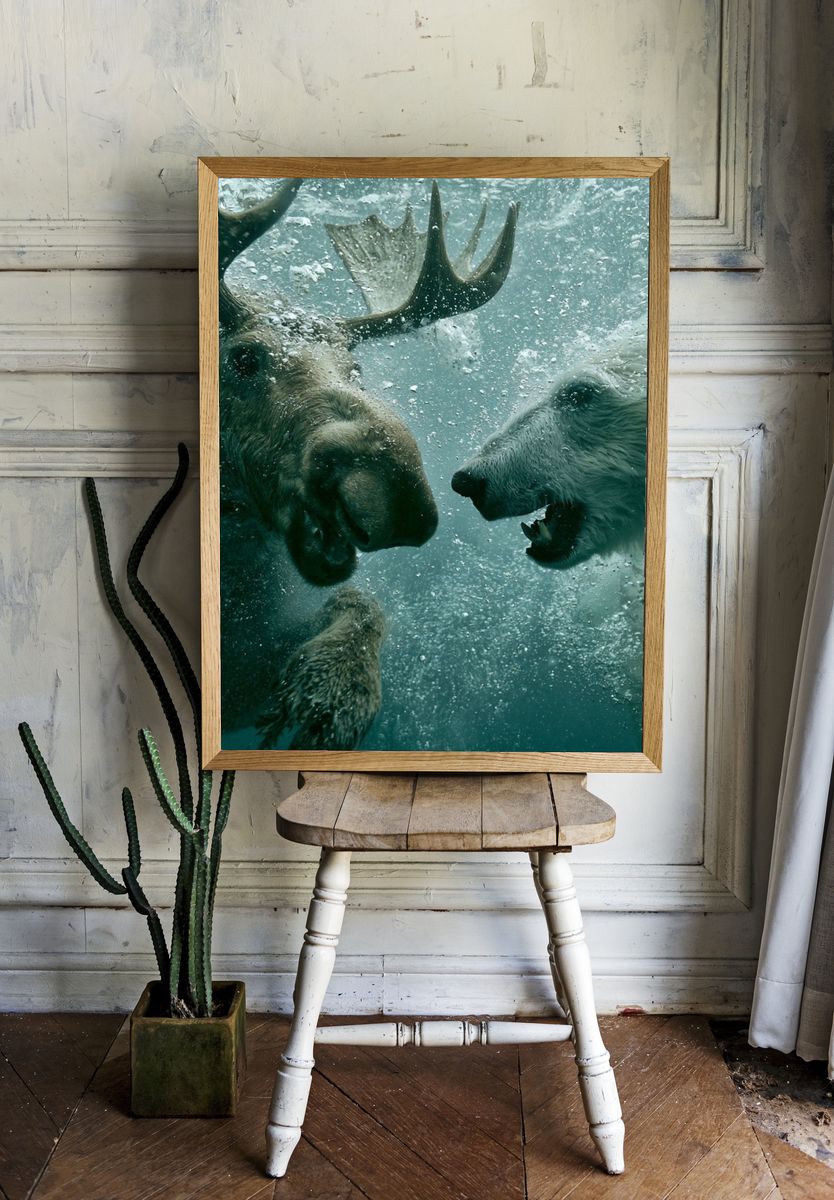 Underwater Bear Encounter Photography Poster. room preview