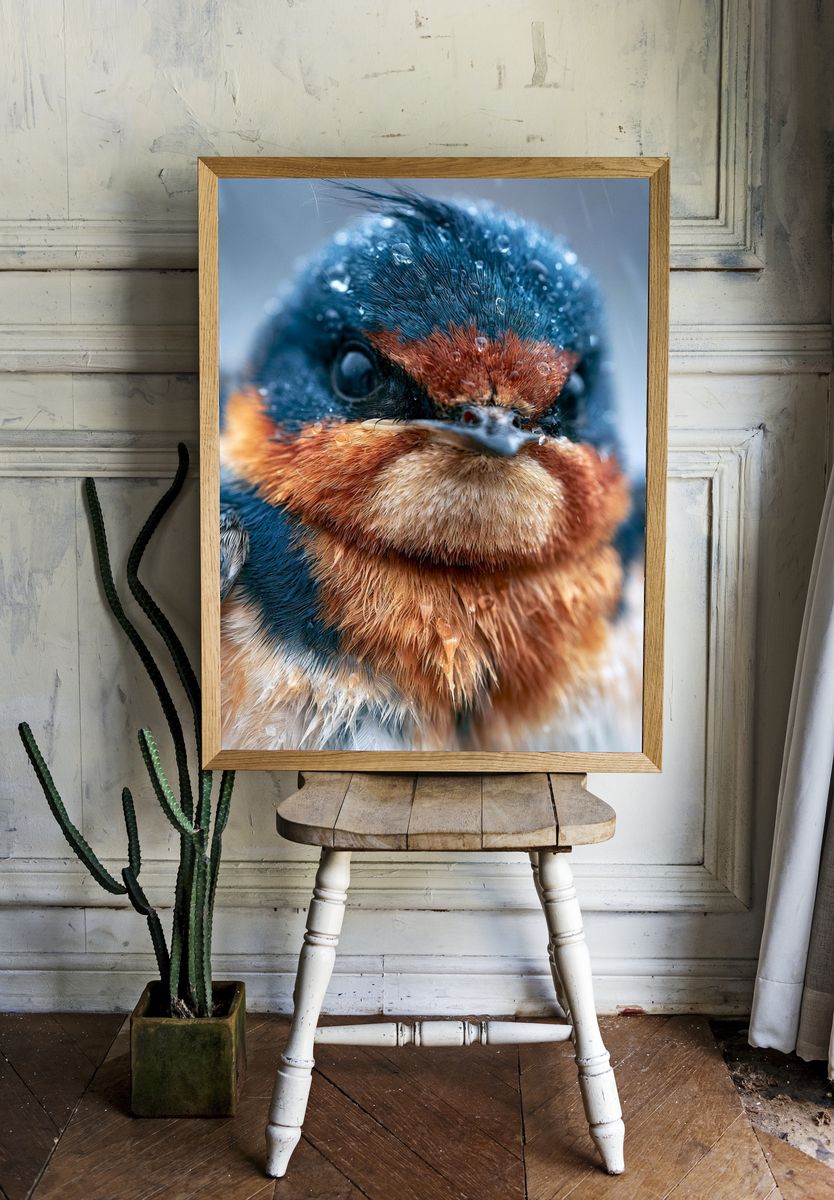 Wet Swallow Portrait Poster. room preview