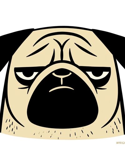 Grumpy Pug Illustration Poster.