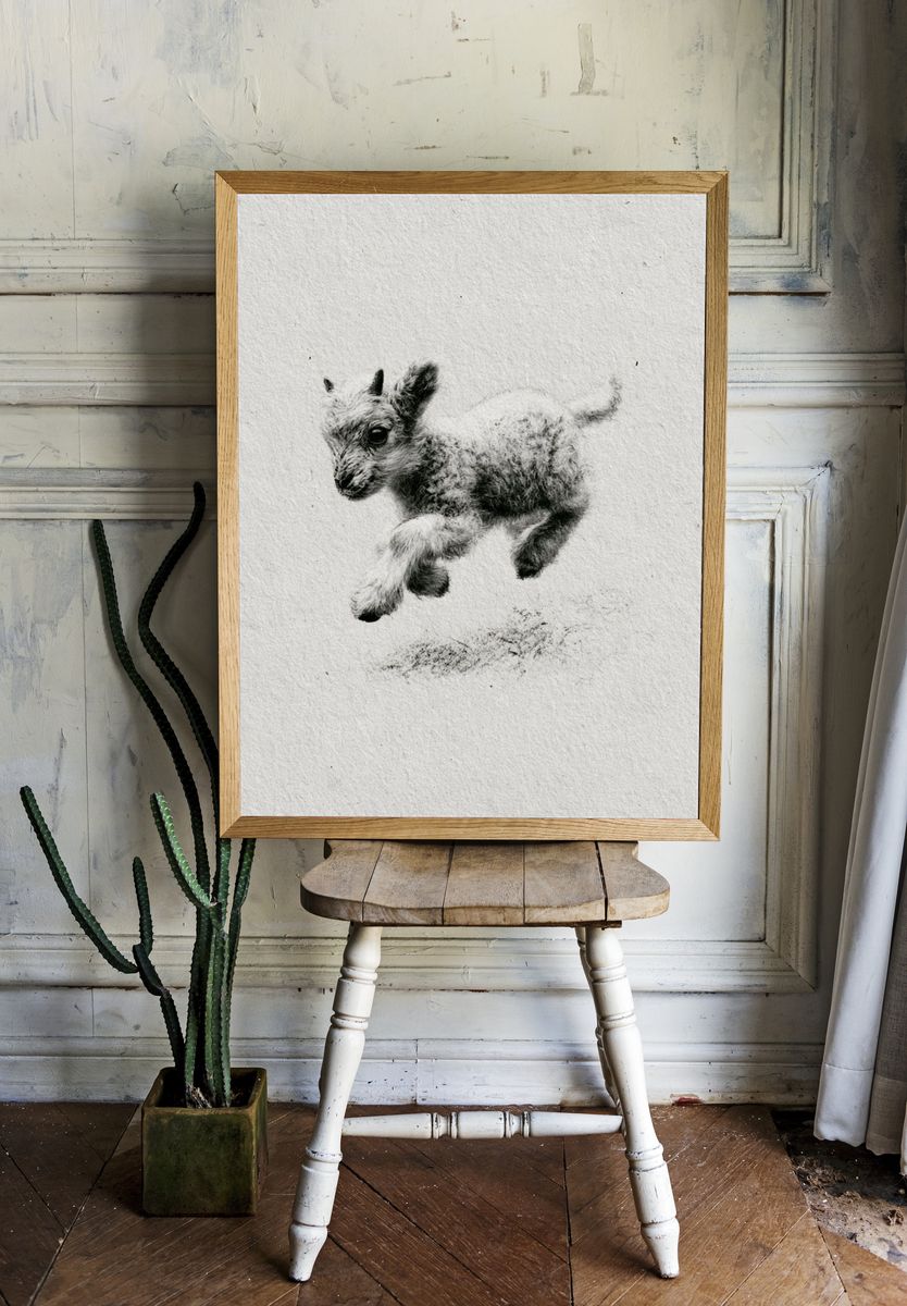 Baby Goat Sketch Poster. room preview
