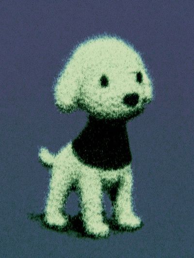 Poodle Puppy Illustration Poster.