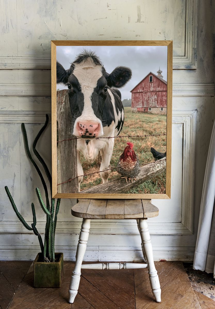 Farmyard Cow Portrait Poster. room preview