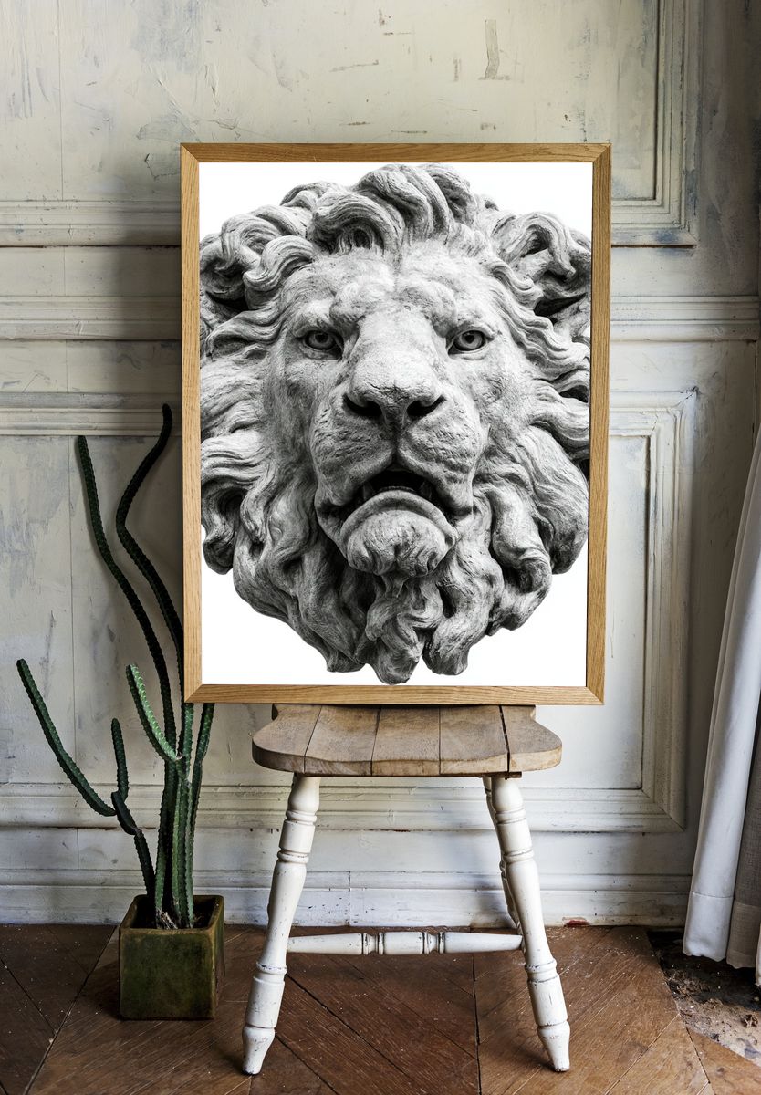 Stone Lion Head Photography Poster. room preview