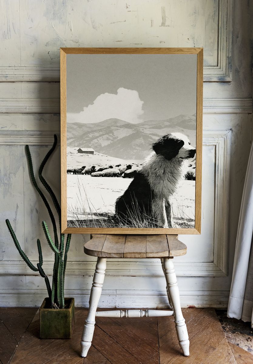 Border Collie in Snowy Mountains Print. room preview
