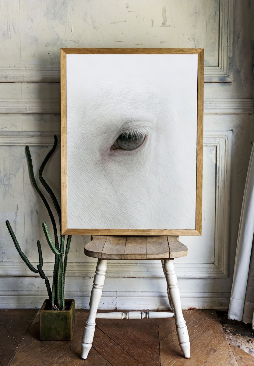 White Horse Eye Photography Poster. room preview