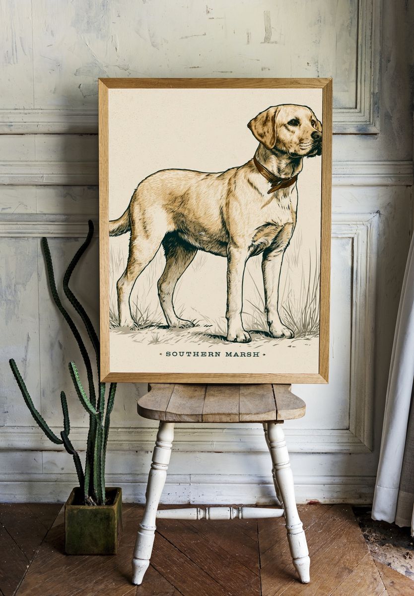 Southern Marsh Labrador Illustration Poster. room preview