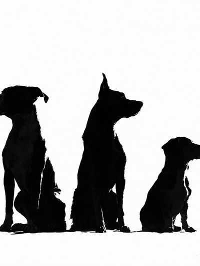 Three Dogs Silhouette Poster.