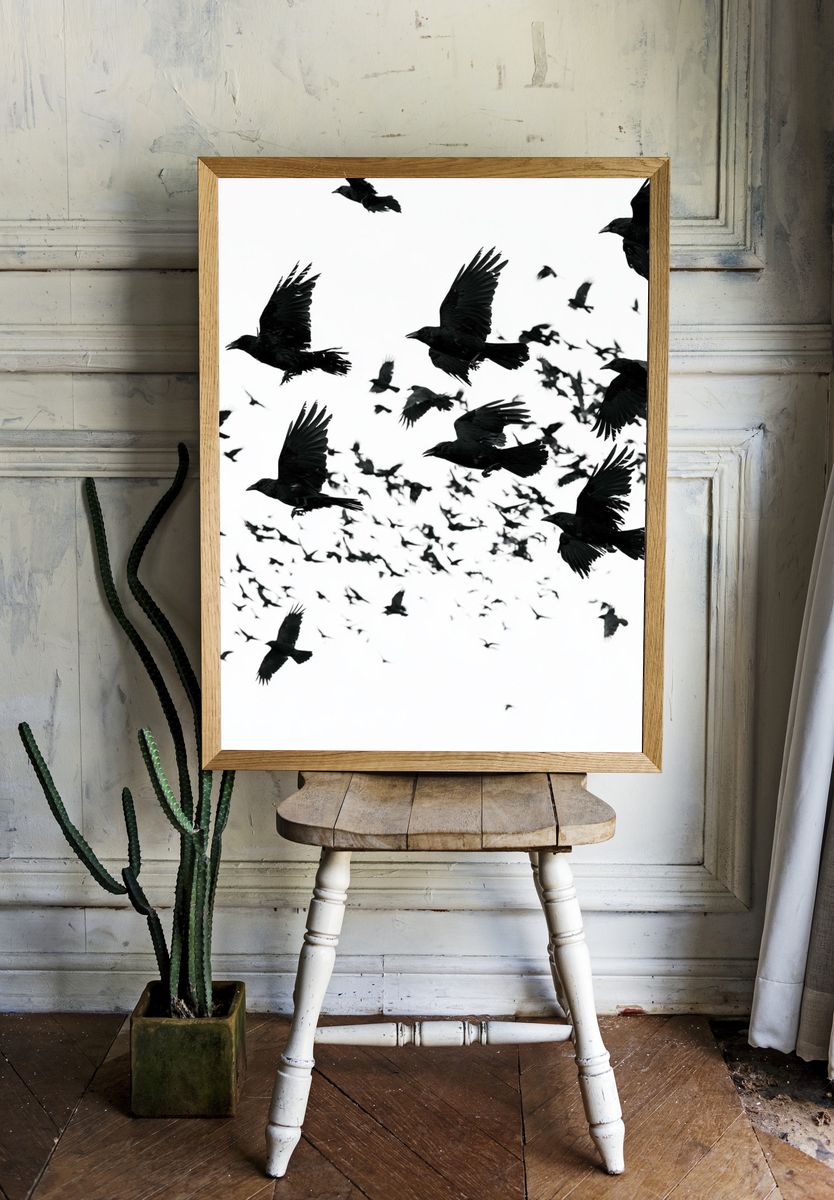 Flock of Ravens Photography Poster. room preview