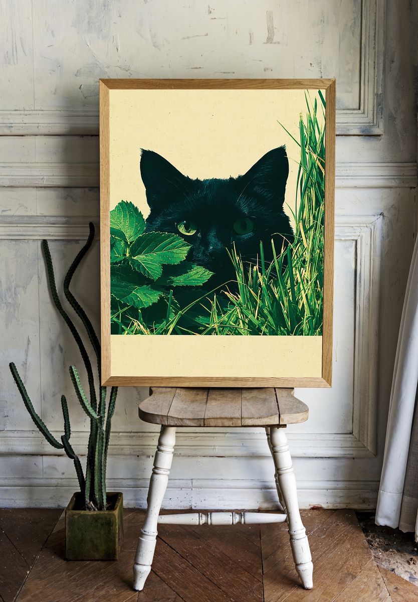 Black Cat in Grass Poster. room preview