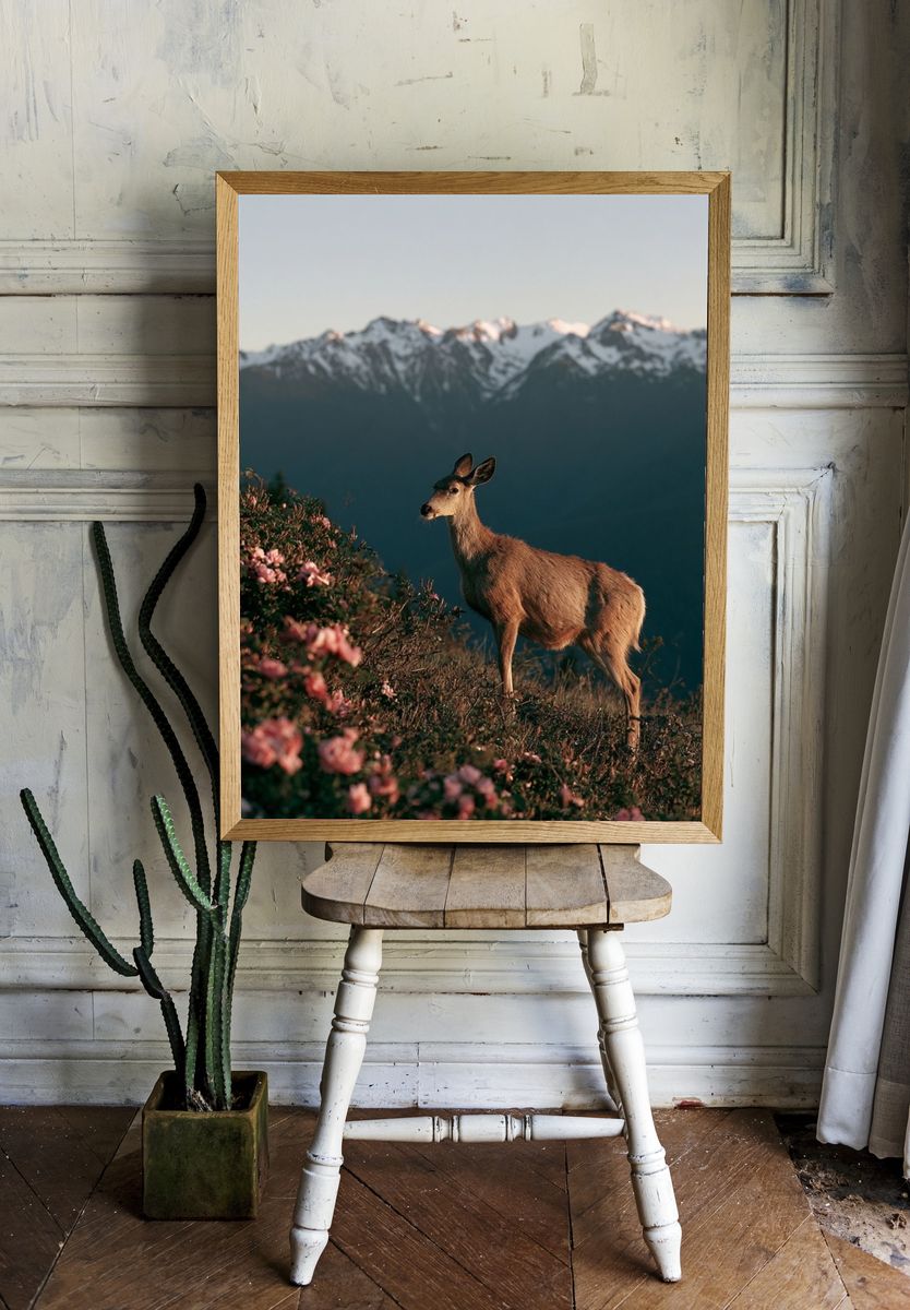 Deer at Alpine Dawn Poster. room preview