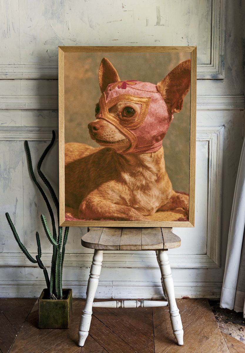 Masked Chihuahua Portrait Print. room preview
