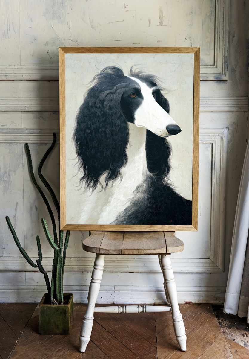 Afghan Hound Portrait Print. room preview