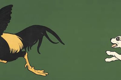 Cock Bird & Dogs (1901).