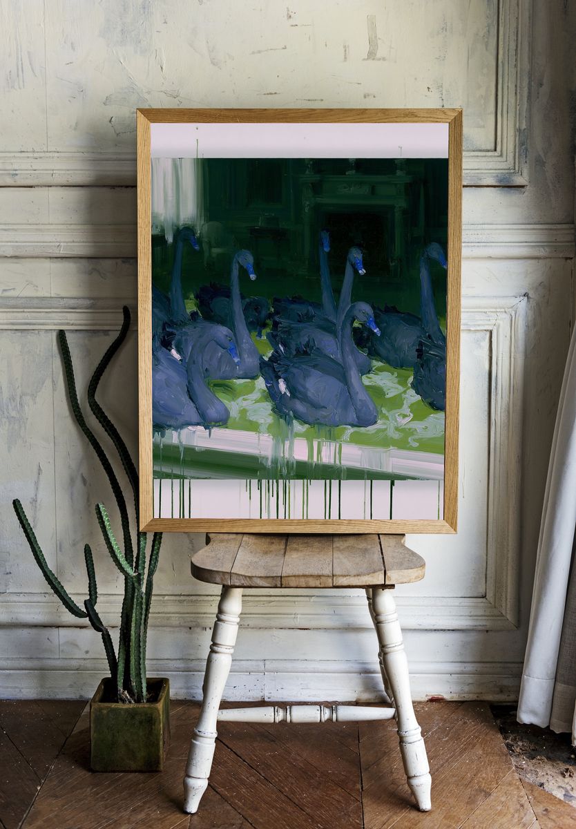 Swans in Green Pond Poster. room preview