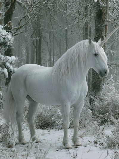 White Unicorn in Winter Forest Poster.