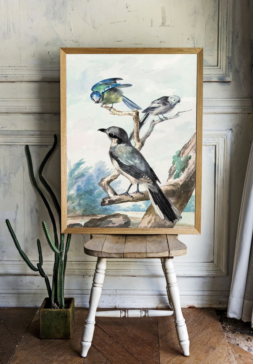 Three birds: Long-tailed Tit, Blue. room preview