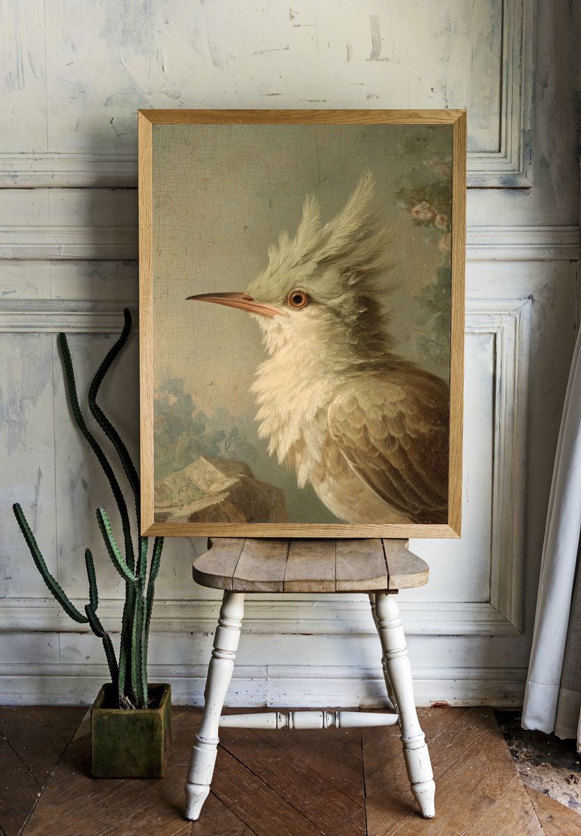 Crested Bird Portrait Vintage Print. room preview