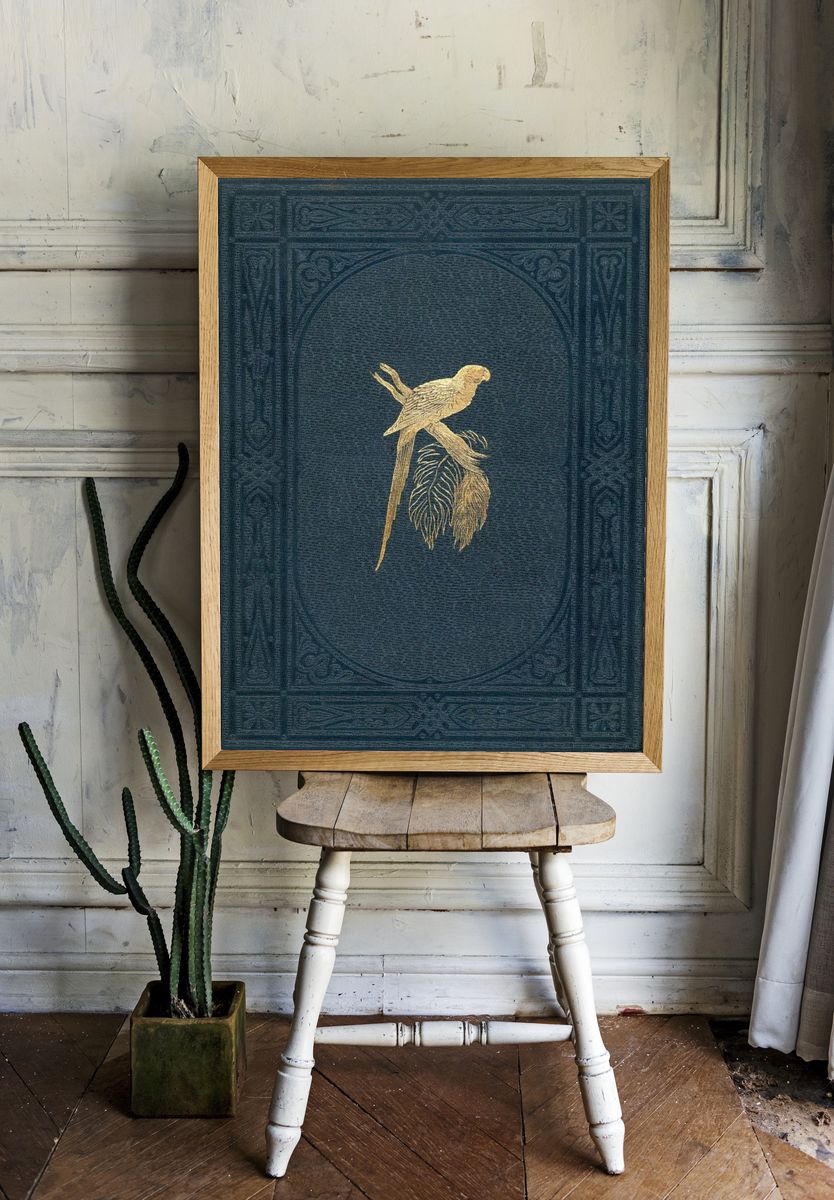 Book cover colored wood-engraved plate. room preview