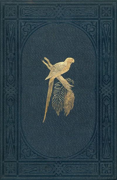 Book cover colored wood-engraved plate.
