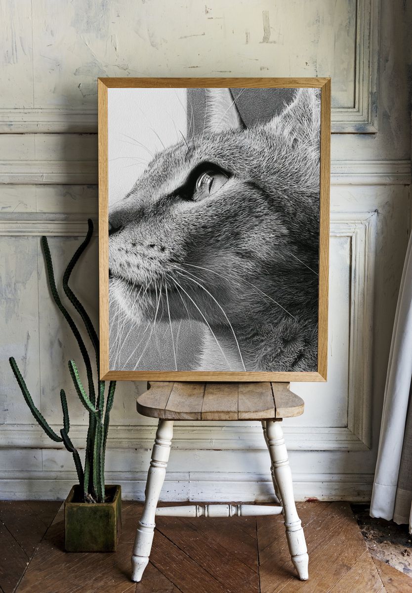 Cat Portrait Black-White Print. room preview