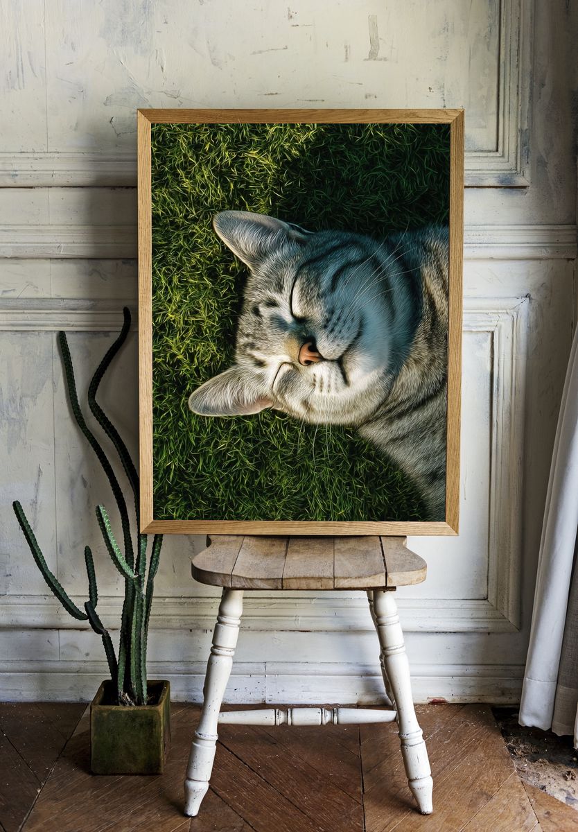 Sleeping Tabby Cat Photography Poster. room preview