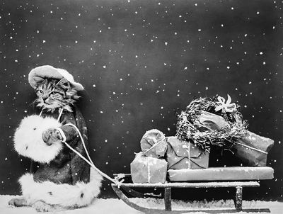 Santa Cat Still Image (1914).