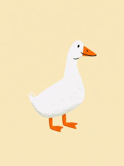 Duckling Illustration Poster.