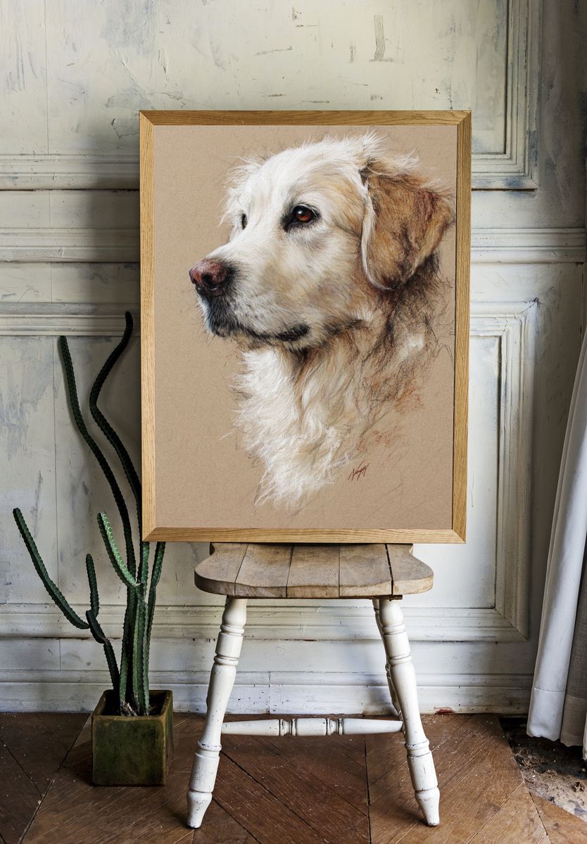 Golden Retriever Portrait Print. room preview