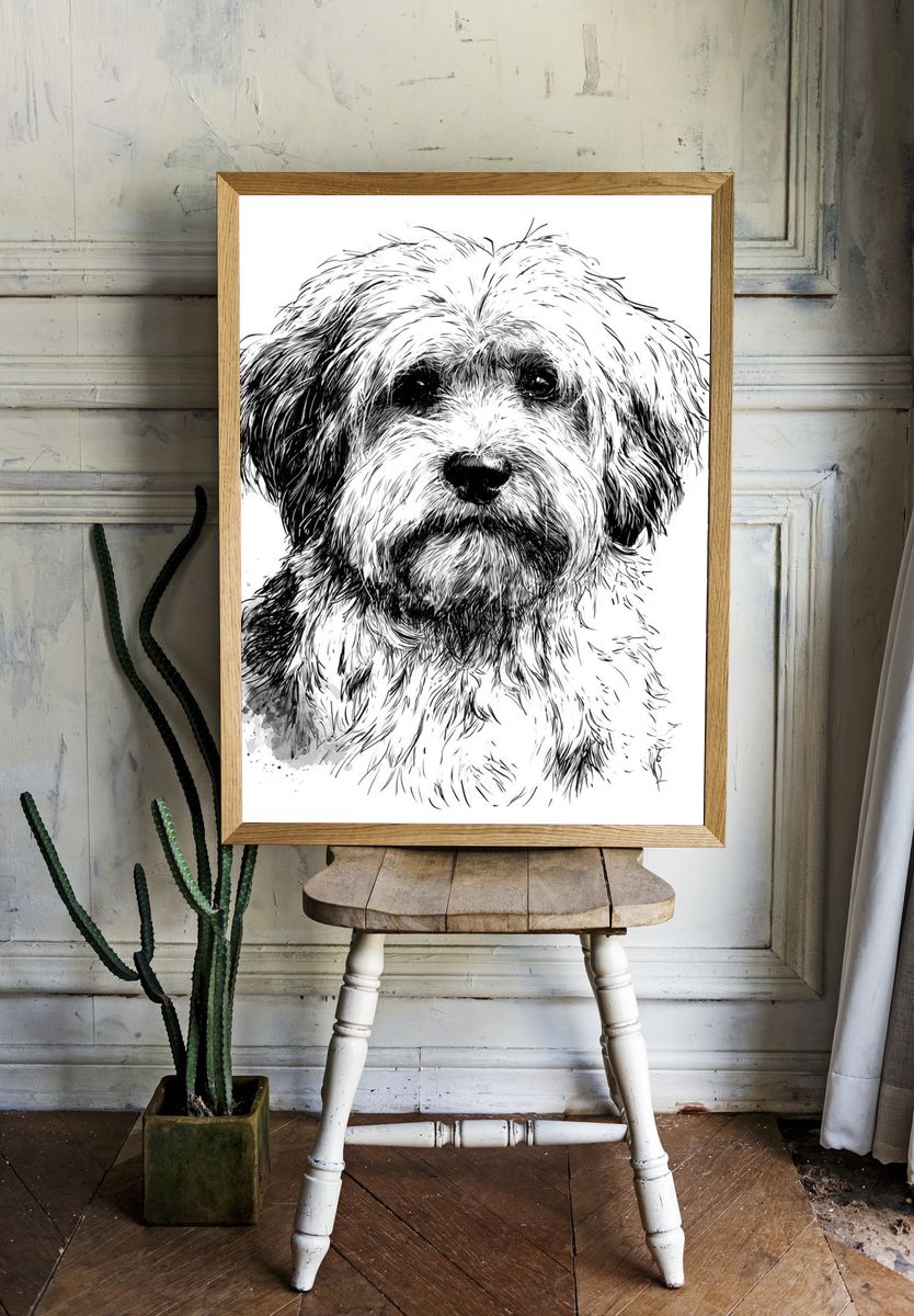 Fluffy Dog Portrait Print. room preview