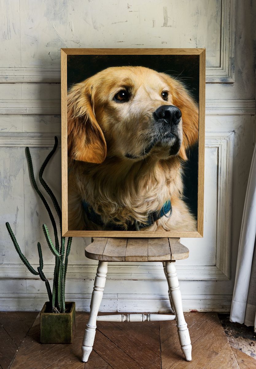 Golden Retriever Portrait Print. room preview
