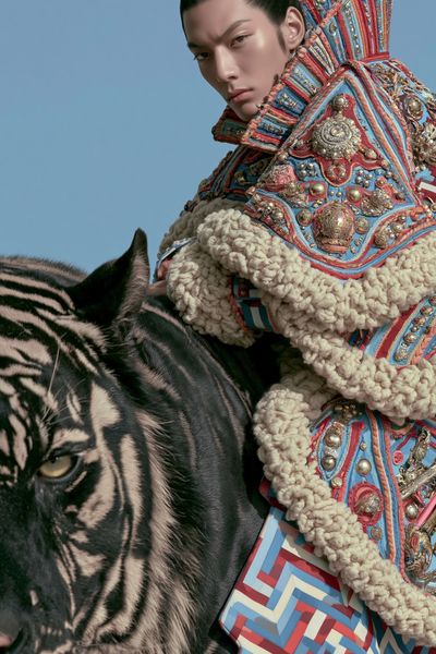 Fashion Tiger Portrait Poster. poster print