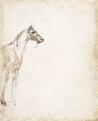Study Horse (ca. 1817–1818) drawing.