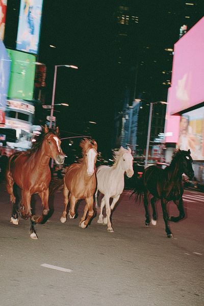 Midnight Horses Street Photography Poster.