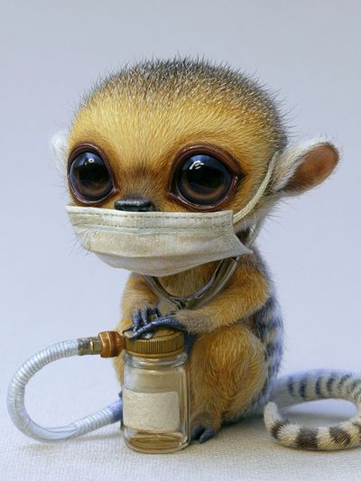 Masked Baby Lemur Illustration Poster.