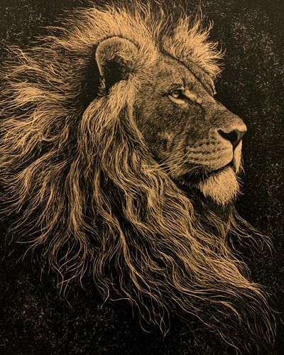 Majestic Lion Portrait Print. poster print