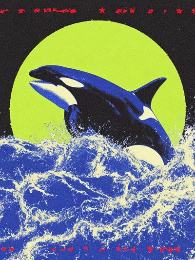 Orca Moonlit Waves Poster.