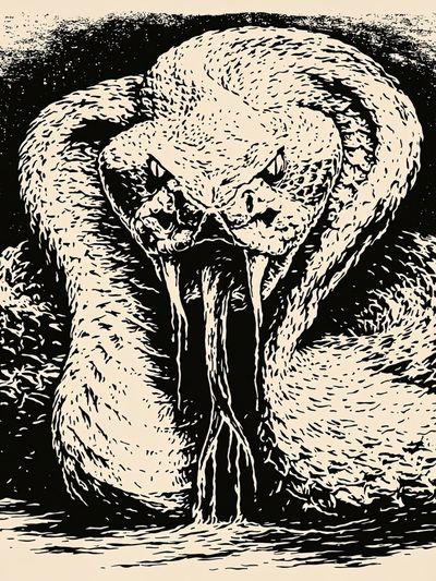 Venomous Snake Ink Poster.