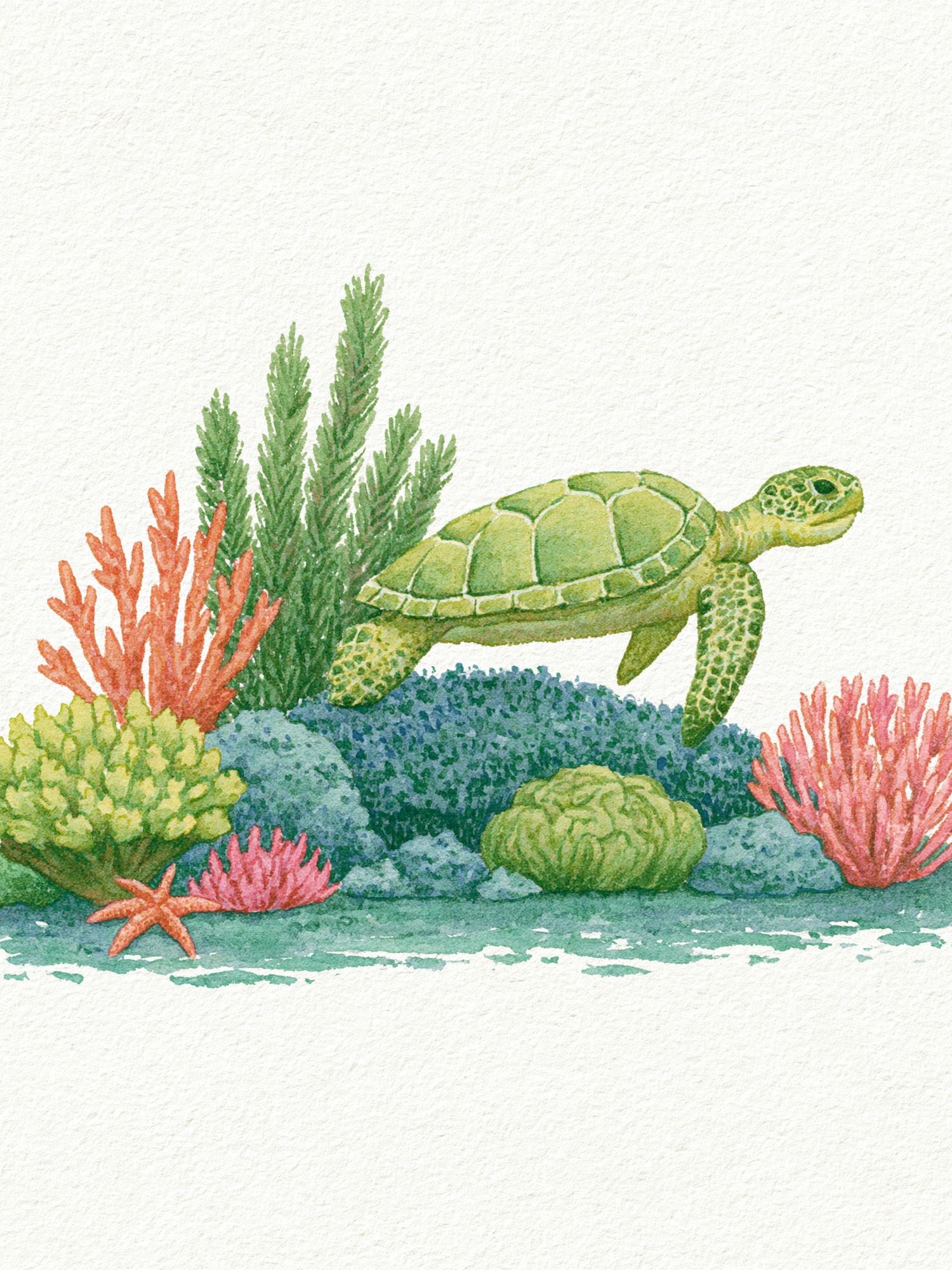 Sea Turtle Watercolor Poster. poster — animals art
