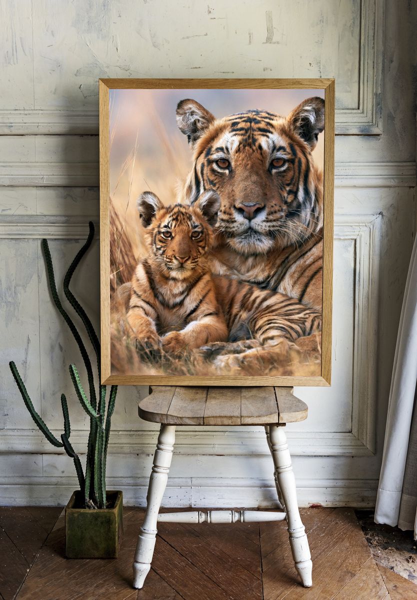 Tiger Mother and Cub Photography Poster. room preview
