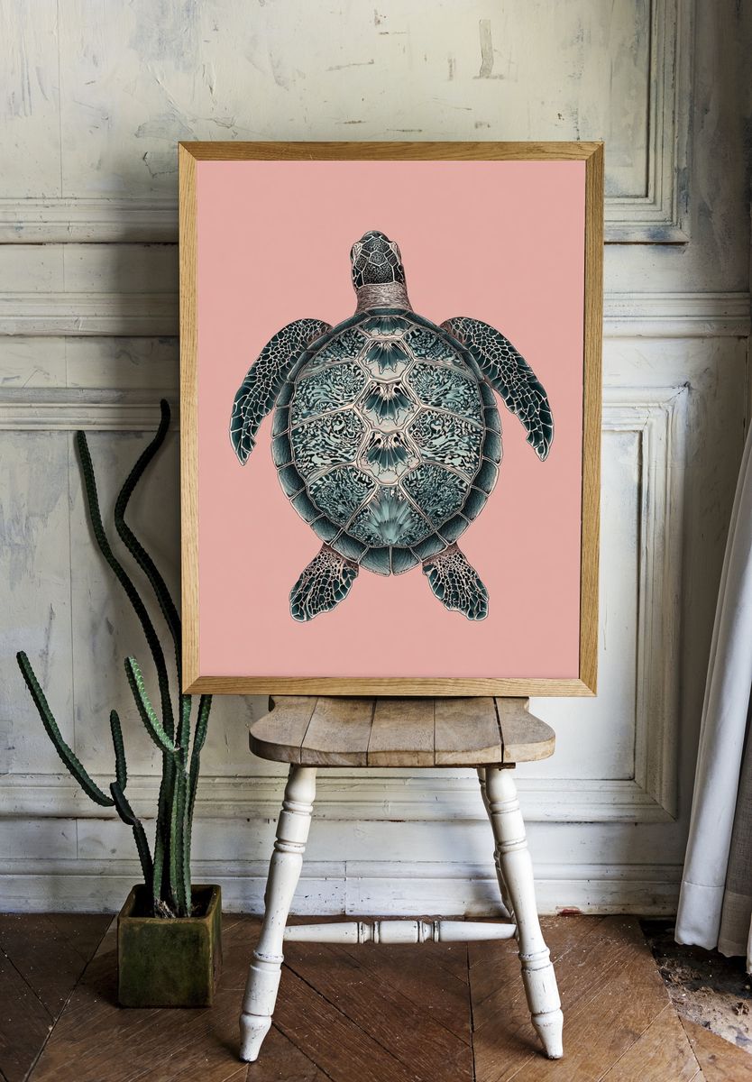 Sea Turtle Illustration Poster. room preview